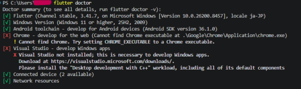 flutter doctor